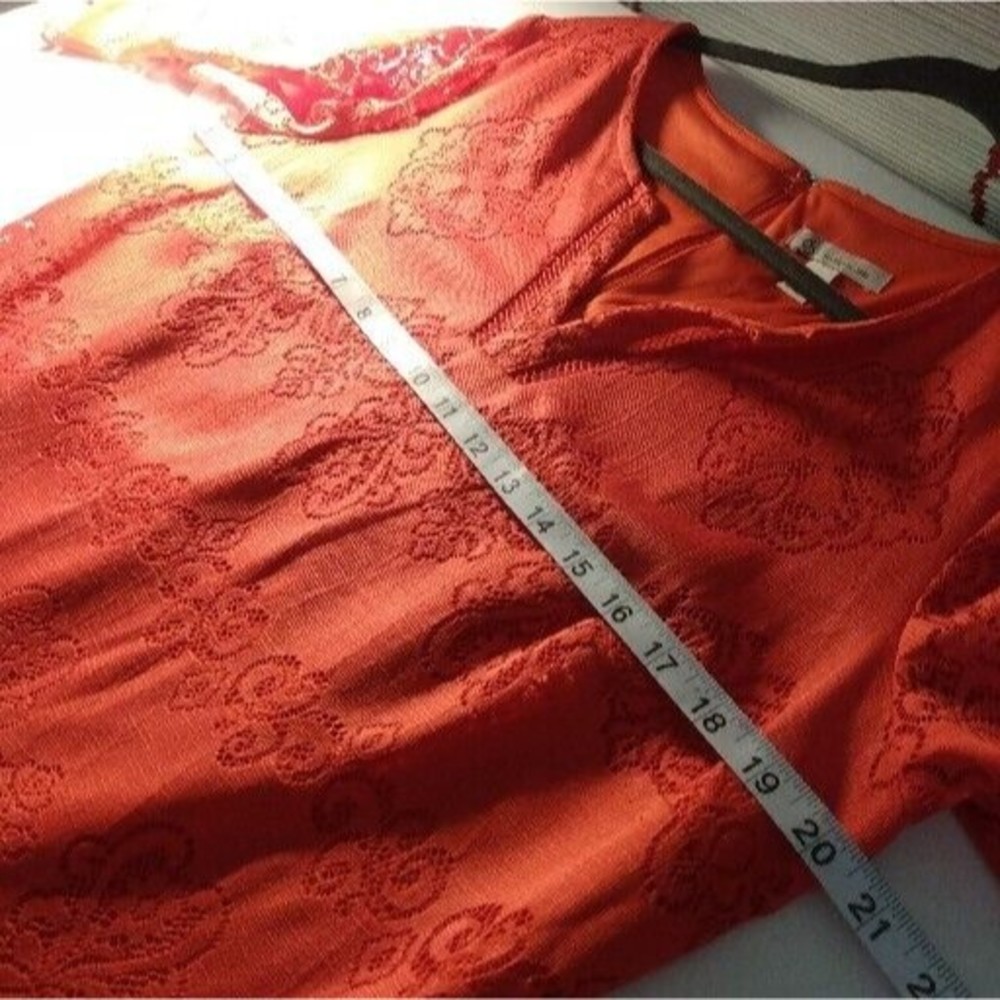 db Women's Size14 Lace Dress Tangerine Orange 3/4 Sleeve Knee Length - Picture 6 of 9